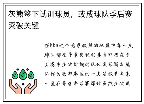 灰熊签下试训球员，或成球队季后赛突破关键