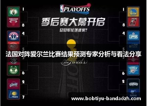 法国对阵爱尔兰比赛结果预测专家分析与看法分享